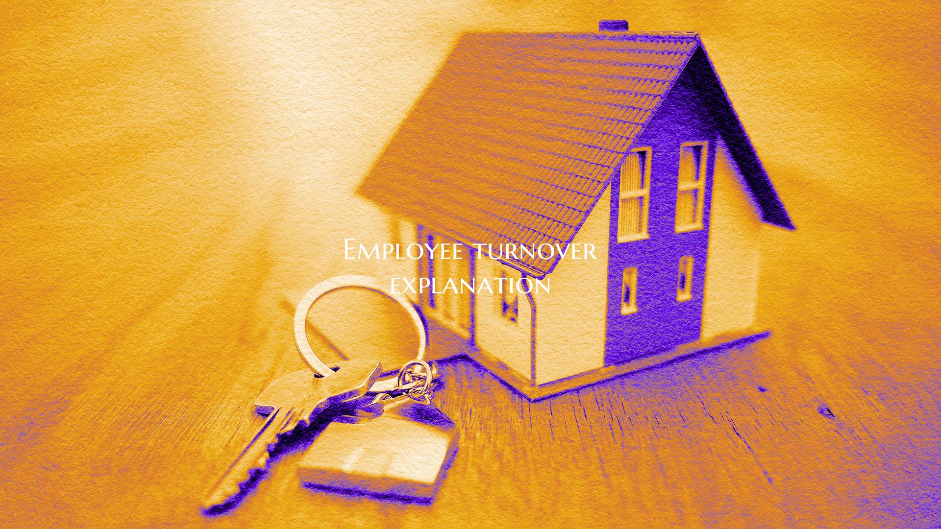 Employee turnover explanatio...